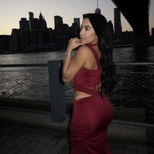 Lucia dress