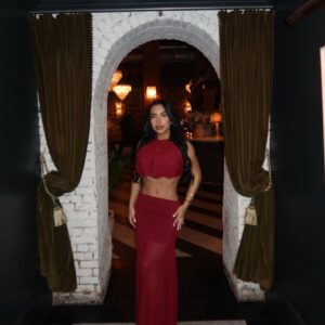 Midnight wine dress